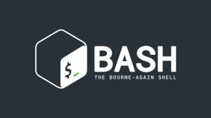 Bash String Contains